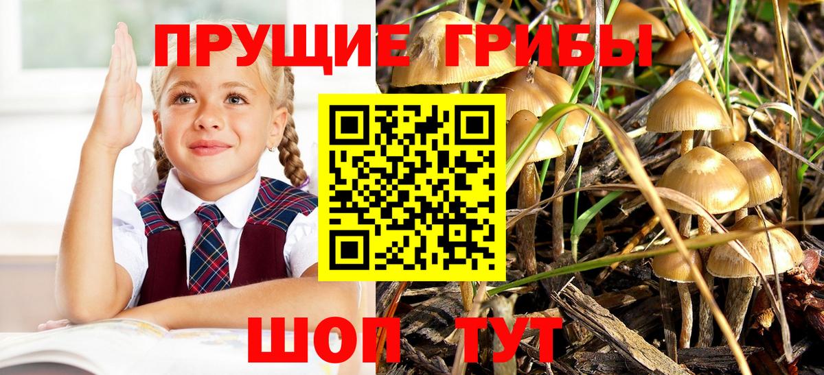 Псилоцибиновые грибы мицелий  Галлюциногенные грибы ЛСД  Вход с VPN  Советский 